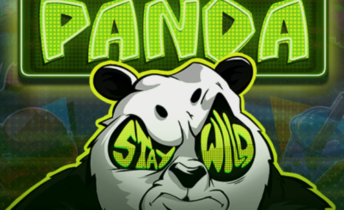 Eye of the Panda