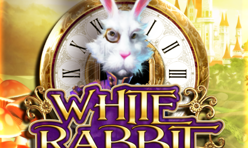 White Rabbit