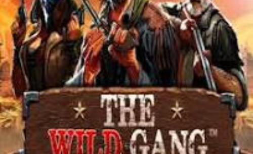 The Wild Gang